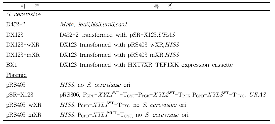 연구에 이용된 균주와 벡터 목록