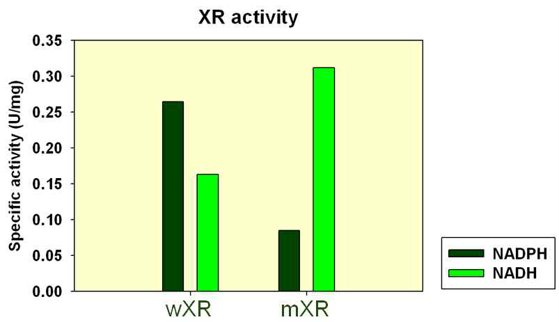 단독 발현 XR의 효소역가의 비교
