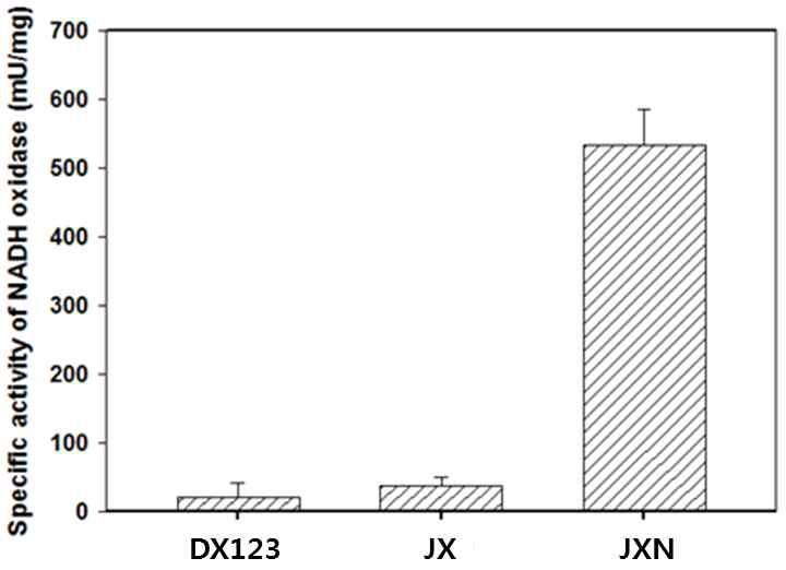 NADH oxidase 활성 비교