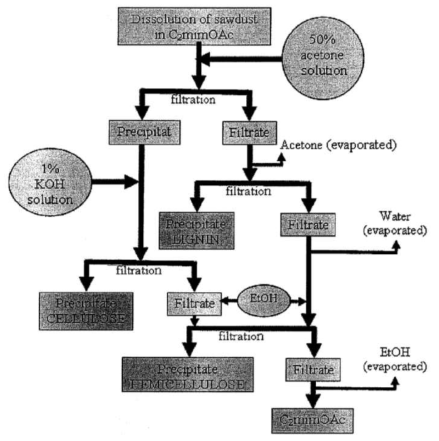 Biomass hydrolysis