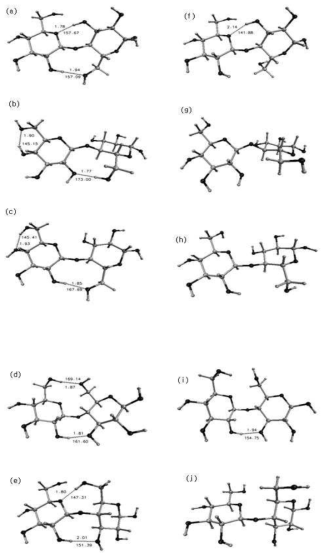 건조상태와 수용액 상태에서의 cellobiose의 가장 안정한 구조들