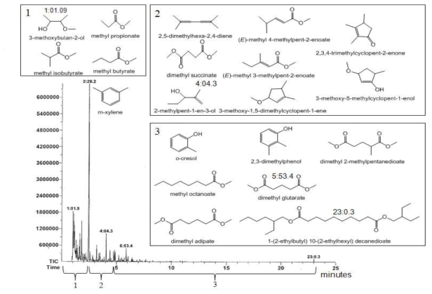 초임계 Methanol 용매로 cellulose를 전처리하였을 때 액체생성물의 GC-MS 결과