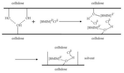 [Bmim]Cl 대한 셀룰로스의 용해 메커니즘