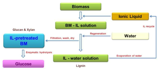 이온성 액체 전처리에 의한 글루코스 분리