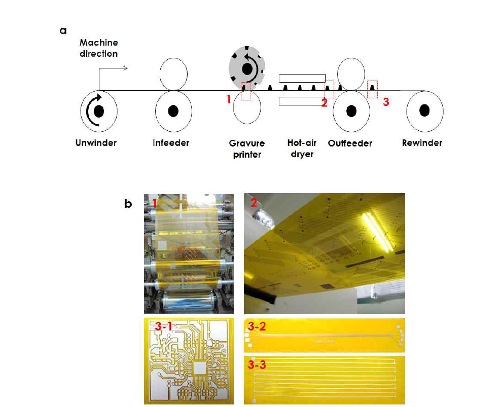 (a) 그라비어 인쇄 개략도, (b) 롤투롤 인쇄 공정