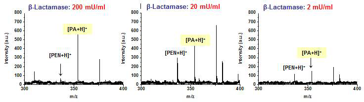 고체매트릭스 칩을 사용한 베타-lactamase 반응의 페니실린 분해반응 모니터링.