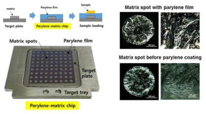 파릴렌 매트릭스 칩의 외형사진 및 파릴렌 매트릭스 칩 제조과정.