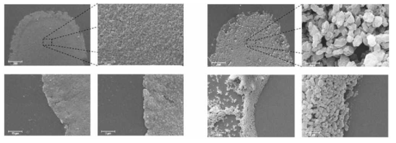 친수성 폴리머 층 위에 유기 매트릭스를 스프레이하는 경우 (좌), 생성되는 유기 매트릭스의 결정이 피펫을 사용하여 점적한 경우(우)의 전자현미경 이미지