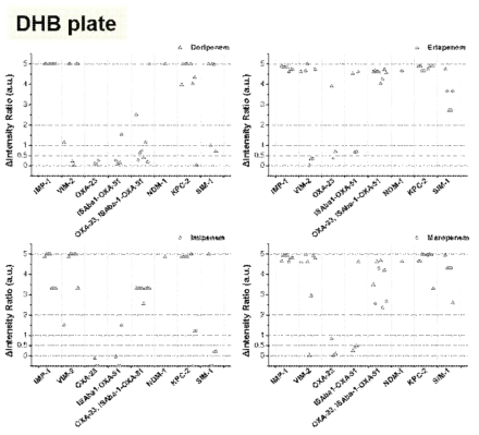 일반적인 말디톱 질량분석 방법인 DHB를 매트릭스로 사용한 카바페넴 내성-카바페네메이즈 생성균(R+)의 카바페네메이즈 타입별 intensity ratio.