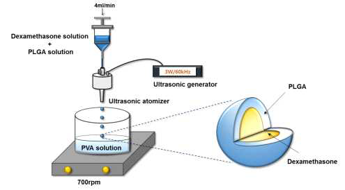dexamethasone이 함유된 미립구의 제조 모식도
