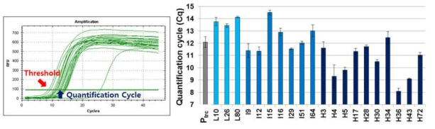 qRT-PCR을 통하여 각각의 Synthetic promoter의 Transctiprion level 분석