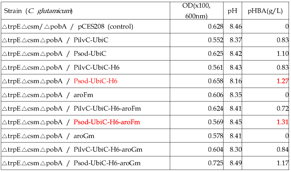 각단계의 균주의 pHBA의 생산량 분석