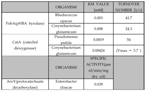 최종 선별한 PobA, AroY, CatA 효소