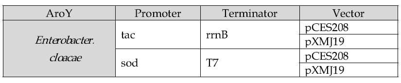 Corynebacterium에서 pXMJ19 벡터와 pCES208벡터에 sod 프로모터와 tac 프로모터를 활용하여 AroY를 발현하기 위한 클로닝