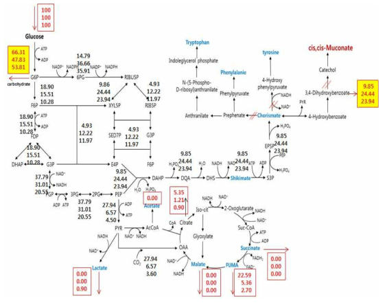 PCA 생산균주의 metabolic flux analysis 결과