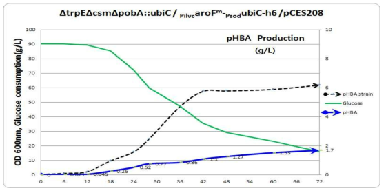 ∆trpE∆csm∆pcaHG::ubiC/PilvcaroF -PsodubiC-h6-pCES208 의 성장곡선과 기질소모량 및 pHBA 생산