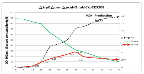 ∆trpE∆csm∆pcaHG::ubiC/pCES208의 성장곡선과 기질소모량 및 PCA 생산