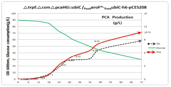 △ctrpE△csm△pcaHG::ubiC/PsodaroF -PsodubiC-h6/pCES208의 성장곡선과 기질소모량 및 PCA 생산