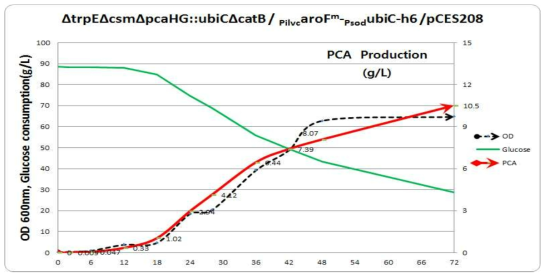 ∆trpE∆csm∆pcaHG::ubiC∆catB/PilvcaroF -PsodubiC-h6-pCES208의 성장곡선과 기질소모량 및 PCA 생산