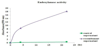 DNS 법을 이용한 endoxylanase의 활성 측정 결과.