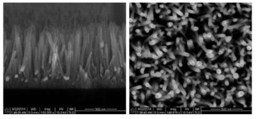 수열합성법으로 형성된 ZnO 나노로드 SEM 단면 및 표면 사진