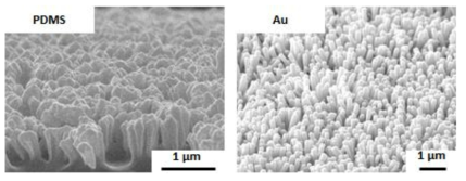 PDMS 및 Au 나노구조체 표면사진