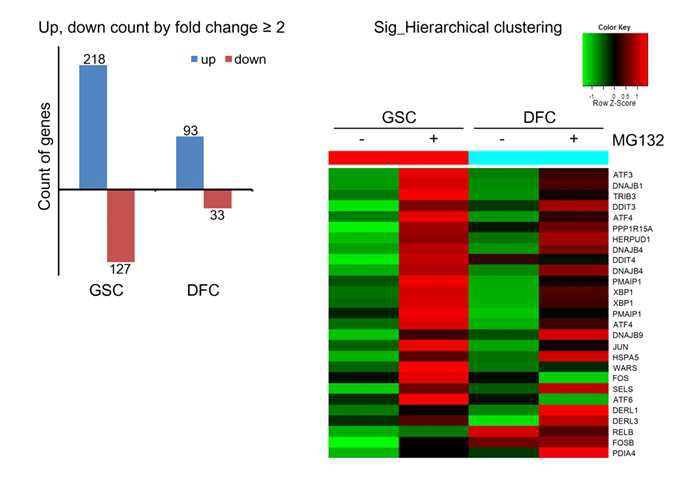 XO8 줄기세포 (GSC)와 분화세포 (DFC)를 MG132 처리한 후 total RNA를 이용하여 Microarray 분석을 수행함.