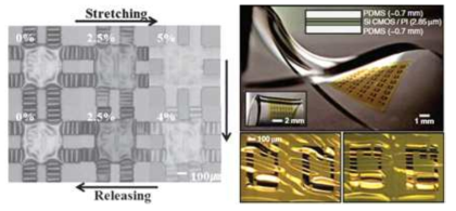 성균관대 안종현 교수 연구팀에서 개발한 stretchable ZnO TFT(Adv. Func. Mater., 2010, 왼쪽)와 UIUC Rogers 그룹에서 개발한 실리콘 나노 박막 기반의 stretchable integrated circuits (Science, 2008, 오른쪽)