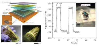 UC Berkeley A. Javey 그룹에서 개발한 active-matrix nanowire pressure sensor array (Nat. Mater.,2010, 왼쪽)와 Stanford Univ. Z. Bao 그룹에서 개발한 패터닝된 실리콘 고무 기반의 capacitive-type pressure sensor (Nat. Mater., 2010, 오른쪽)