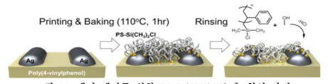 계면 제어를 위한 PS-Si(CH3)2Cl 층 형성 과정