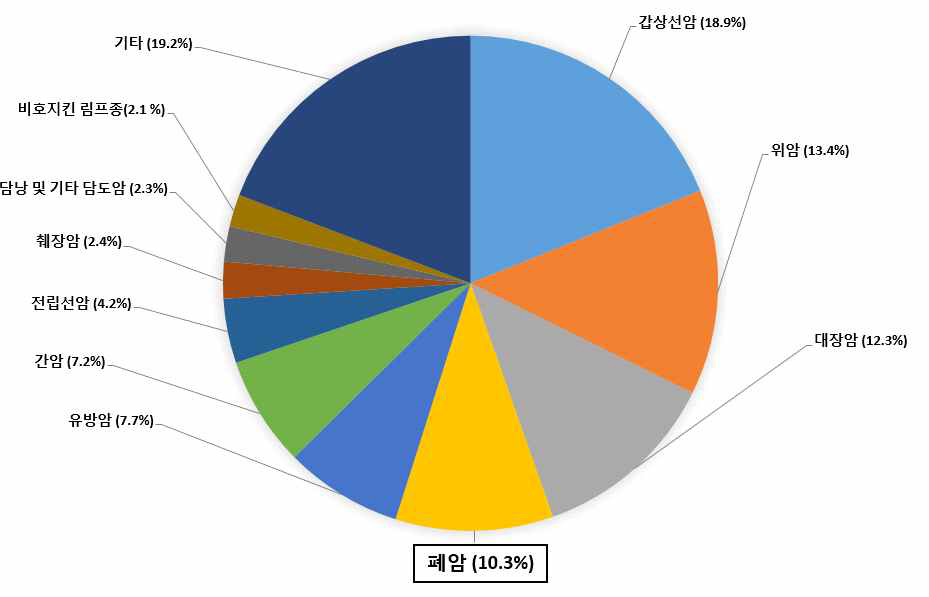 국내 암 발생률