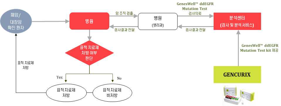 폐암 및 대장암 판매 전략 (Decentral Lab Model)