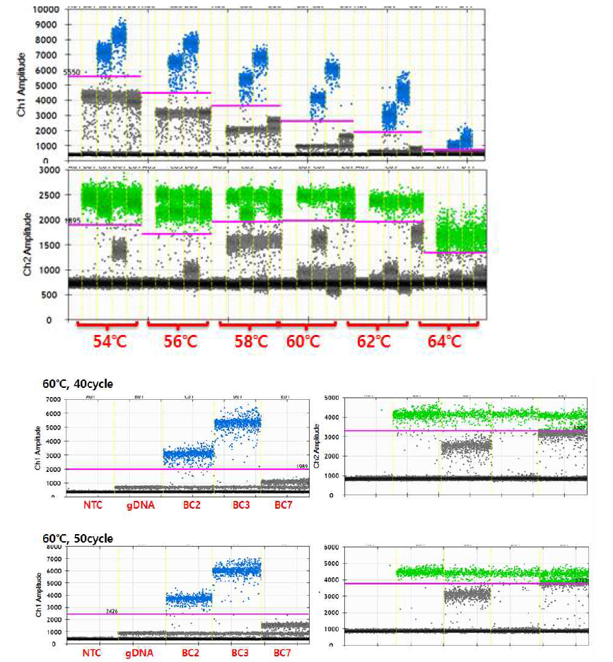 온도 및 cycle 수에 따른 ddPCR 결과