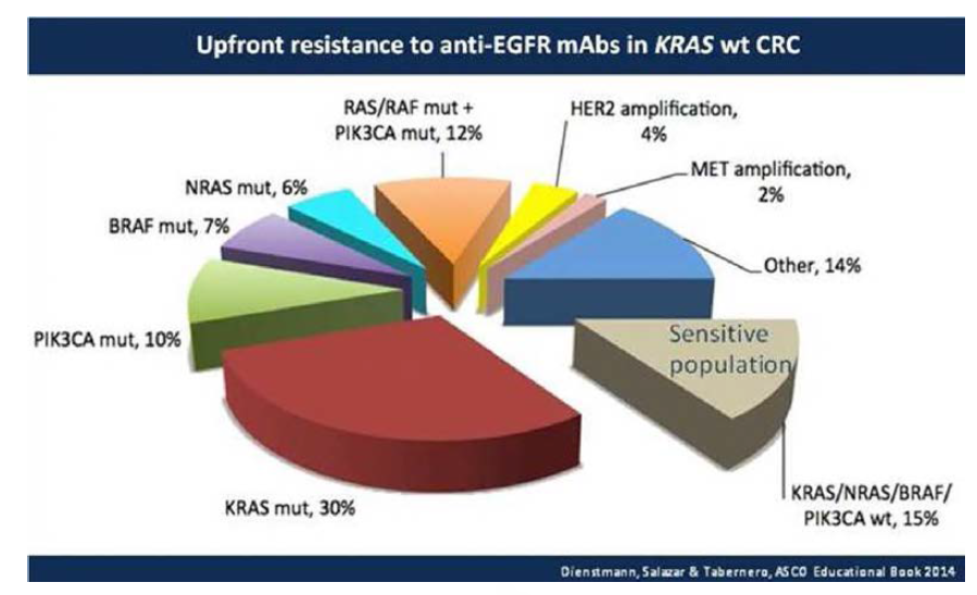 Upfront resistance to anti EGFR mAbs in KRAS wt CRC