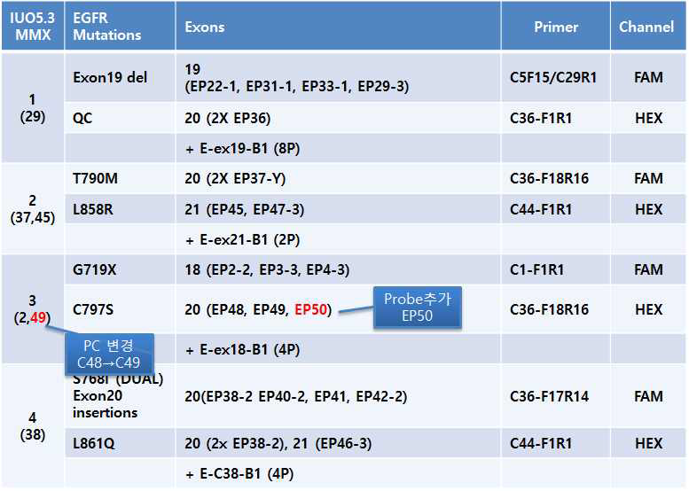 기존 ver5.2 EGFR mutation test 구성과 추가 또는 변경되는 ver5.3의 구성