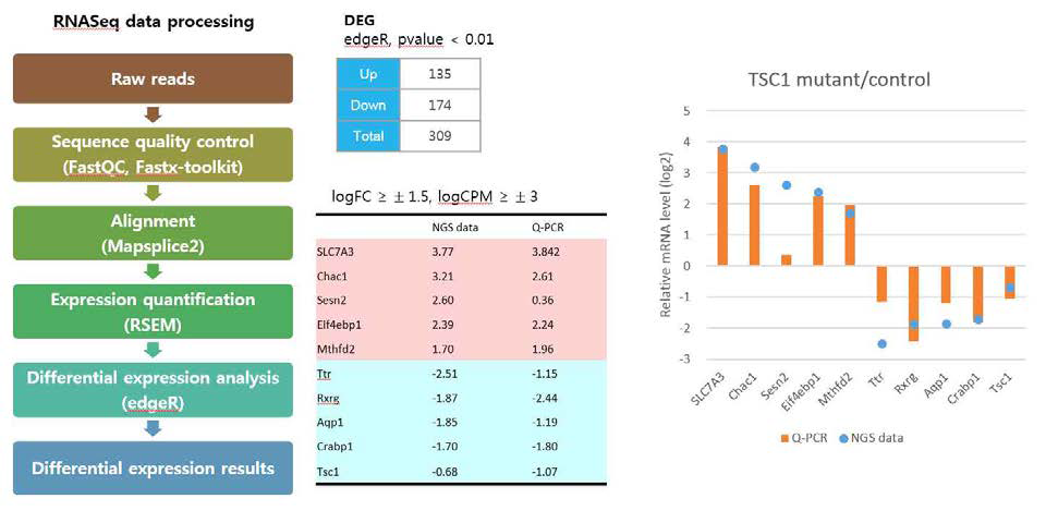 RNA-seq 분석과 Quantitative RTPCR 결과