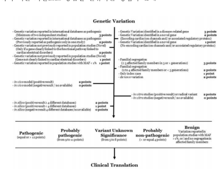 Classification workflow