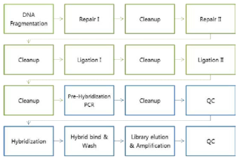 Swift Hyb 전처리 키트와 Mycroarray 패널을 조합한 라이브러리 제작 순서도