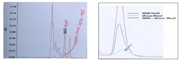 NAD, NMN peak in mouse blood during HPLC