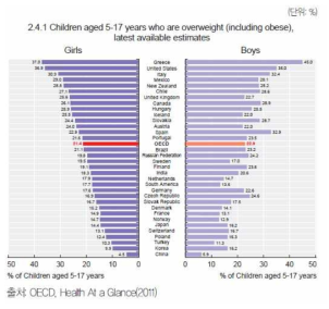 아동 청소년의 과체중 및 비만유병율