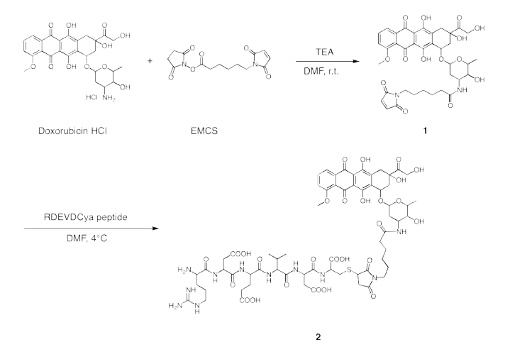 DEVD-EMCS-DOX의 합성과정
