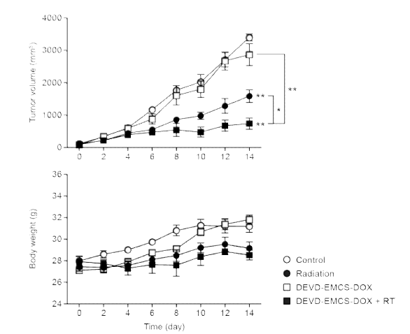 DEVD-EMCS-DOX의 항암효능 평가