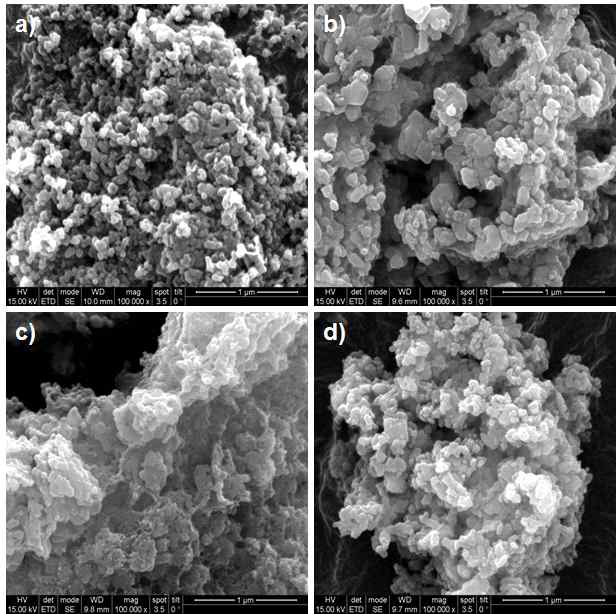 Nano-composite (a) bare sample, (b) 0.8 wt% sample, (c), (d) 0.4 wt% sample 의 SEM image