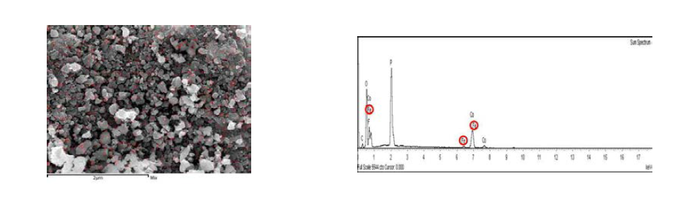 Elemental mapping and EDX of Li2Co0.95Fe0.05PO4F sample