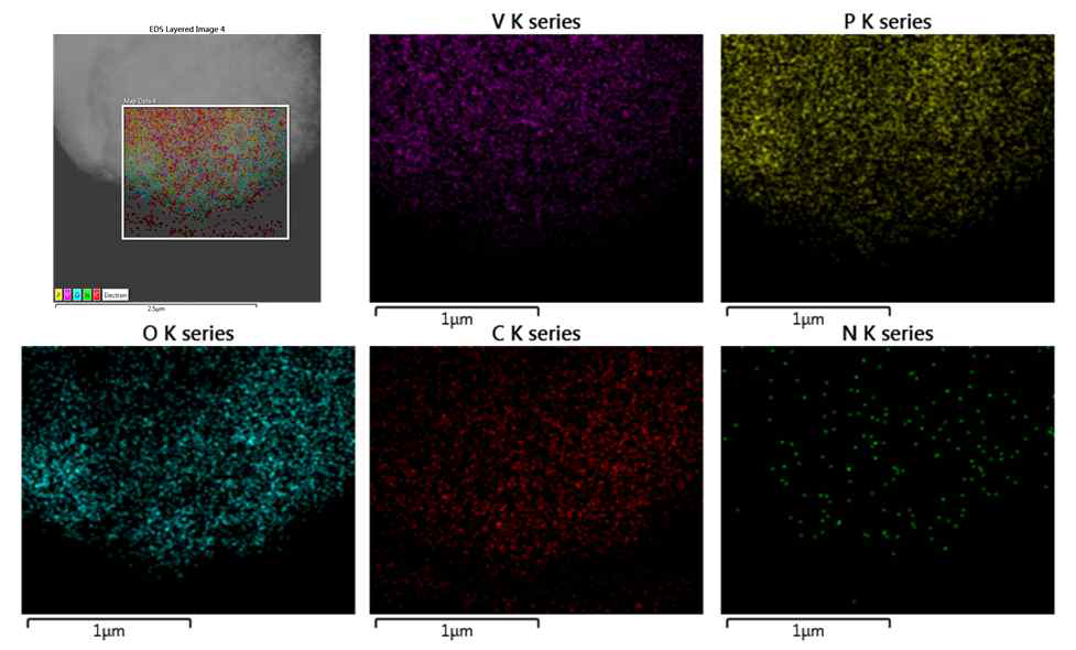 분무건조법을 이용한 micrometer 크기의 구형 Li3V2(PO4)3/N-doped graphene 복합소재 EDS mapping 결과