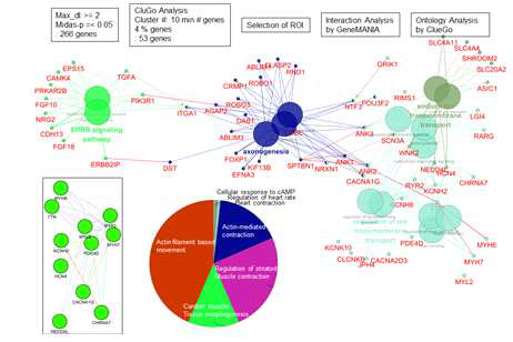 DM1-특이 심근세포의 질환 특이 pathway 분석 결과