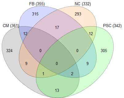 DM1 질환 모델 세포의 exon expression profiling