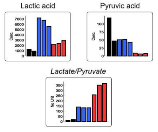 Lactate / Pyruvate (LP ratio)