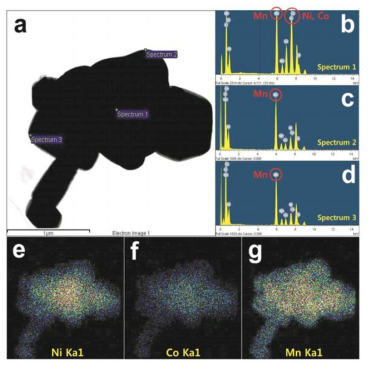 0.5Li2MnO3·0.5LiNi0.5Co0.2Mn0.3O2의 EDS point 원소별 분석 및 mapping