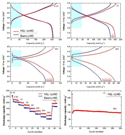 신규 Li-, Mn-rich NMC 소재(NSL-LLMO) 전기화학 성능 평가